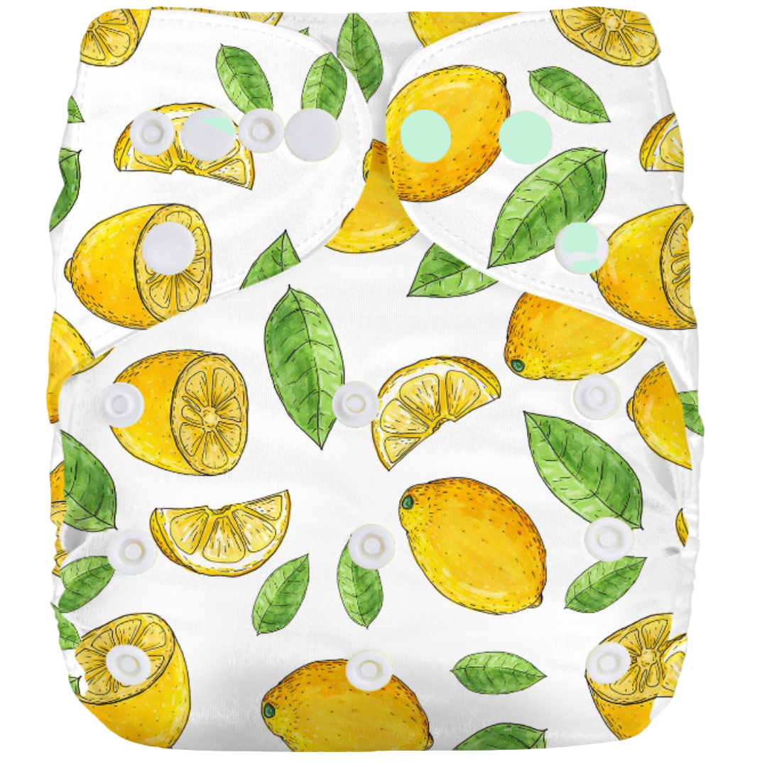 Reusable Cloth Nappies - One Size Fits 3-17kg with Bamboo Insert