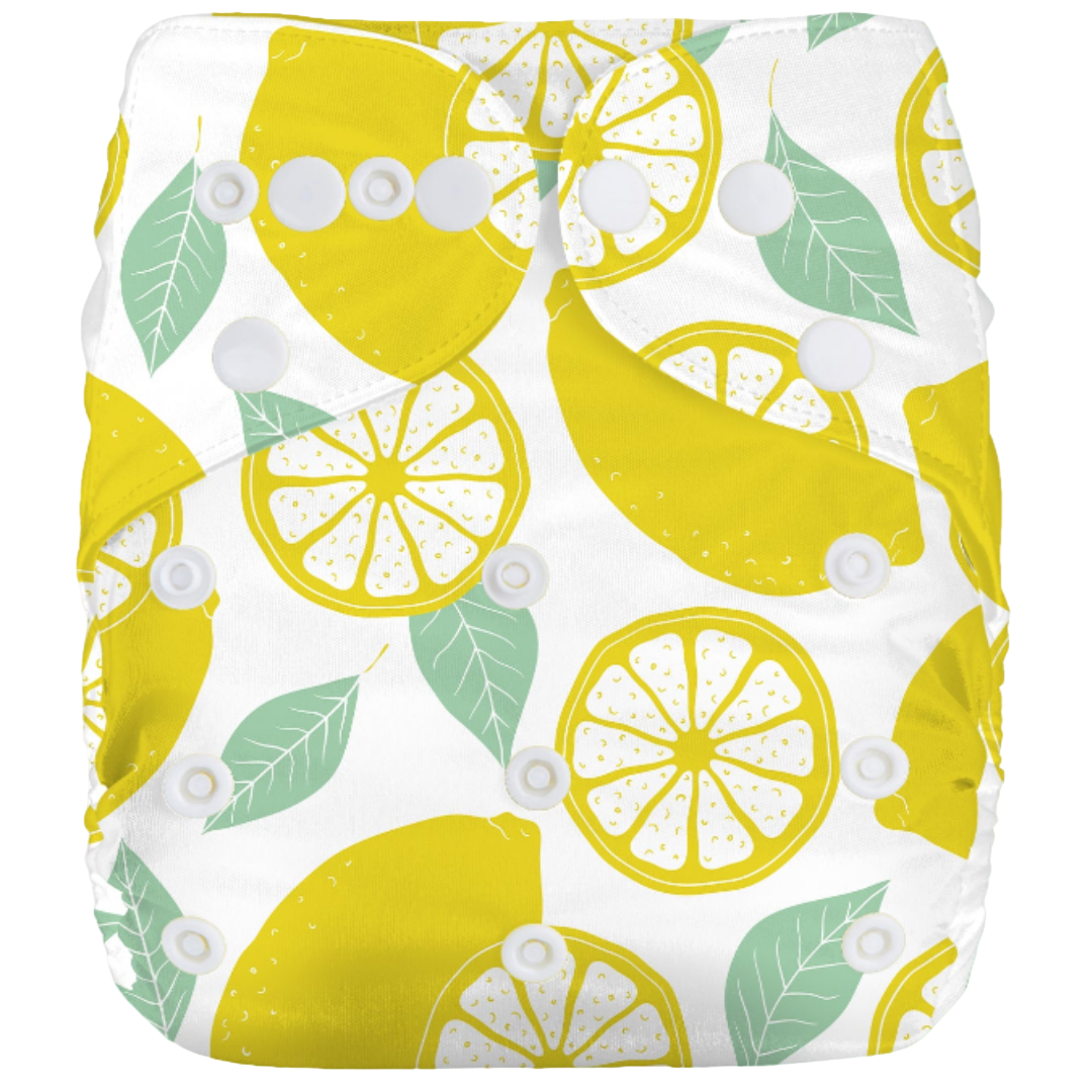 Reusable Cloth Nappies - One Size Fits 3-17kg with Bamboo Insert