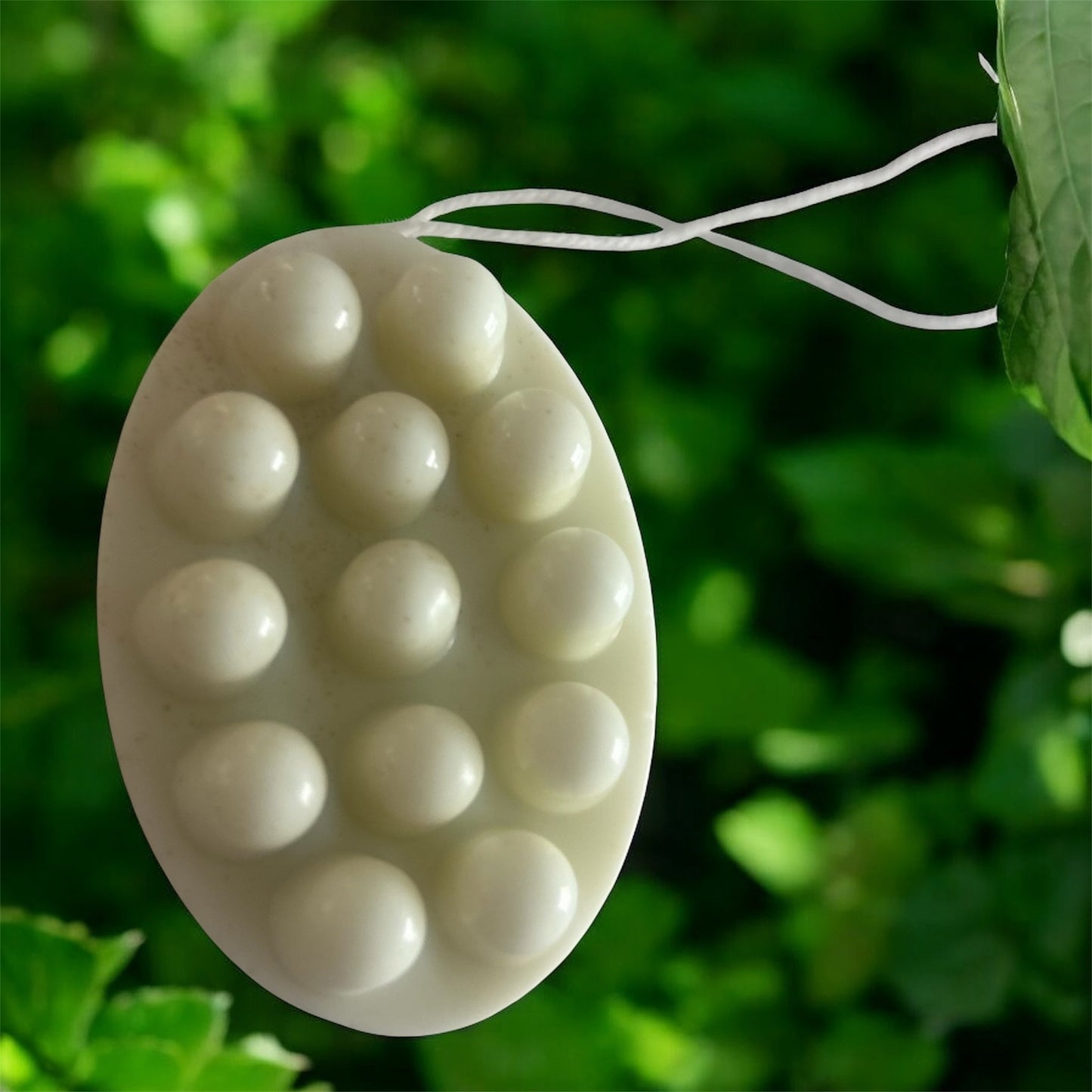 Kawakawa Oat Milk Face + Body Bar (Lavender, Hemp & Calendula)